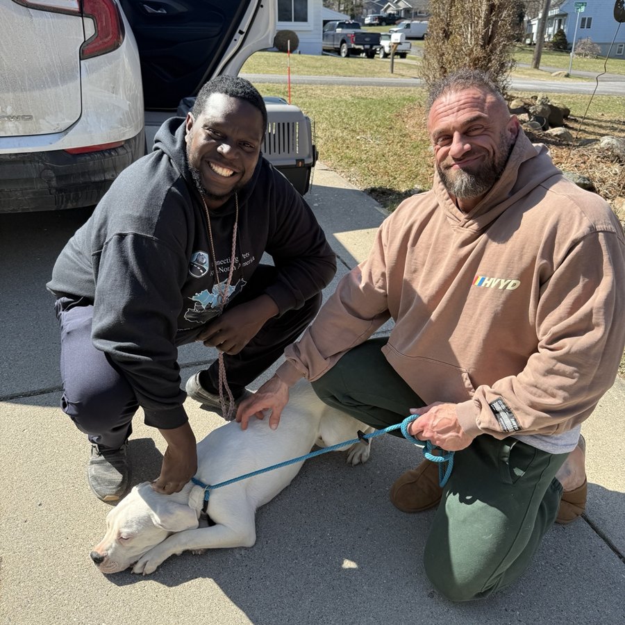 Nigel from OTW Transports